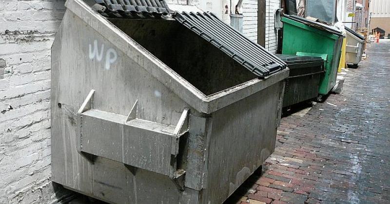 OSUĐENE NAKON ŠTO SU UZIMALE HRANU IZ SMEĆA Dvjema Njemicama novčana kazna i dobrotvorni rad