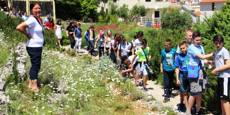 NA CRESU I LOŠINJU 7. Festival vitalnosti 'Apsyrtides' od 18. – 25. svibnja