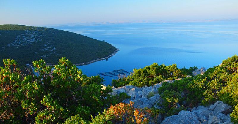 NIJEMCI OČARANI HRVATSKOM OBALOM 'Zemlja s više od tisuću otoka obiluje rajskim plažama'