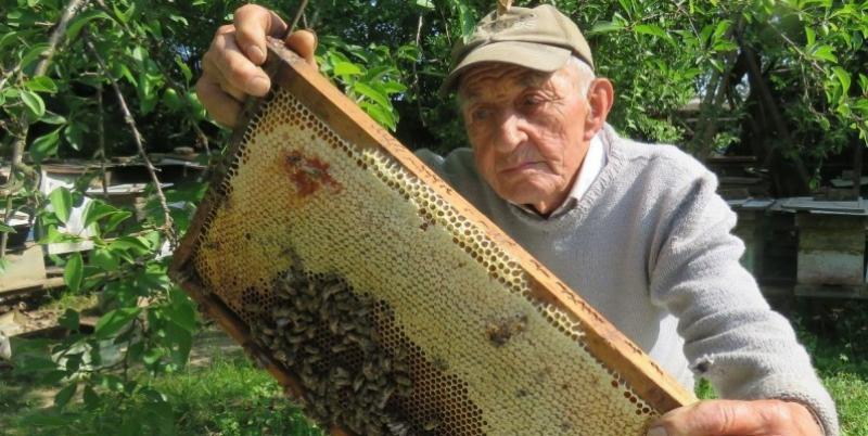 IVI BANOVČIĆU DANAS JE 91 GODINA, PČELARI PUNIH 81 I KAŽE Ja sam najsretniji čovjek na svijetu!