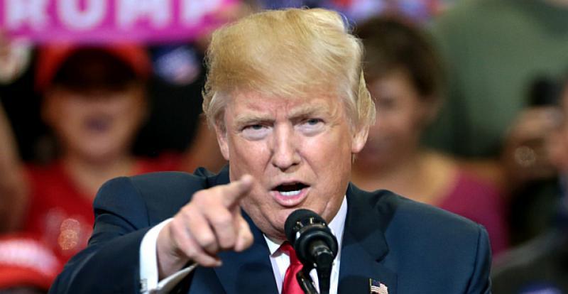 SIMBOL PRIJATELJSTVA Osušilo se drvo prijateljstva koje su posadili Macron i Trump