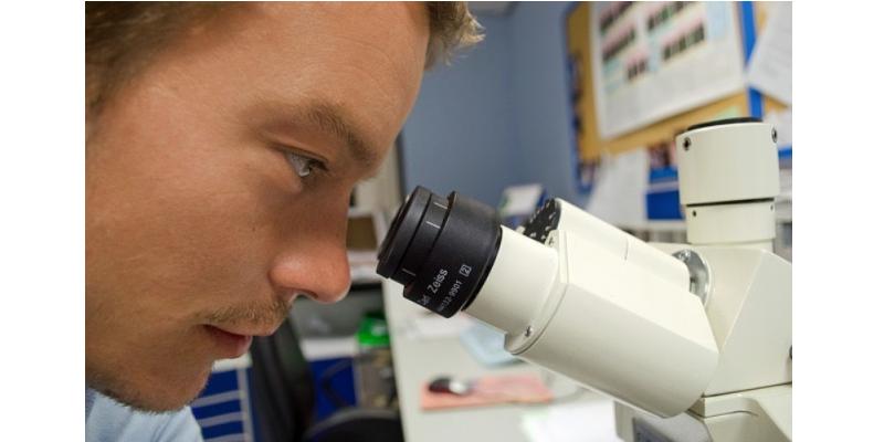 ZNANSTVENO OTKRIĆE Visoka razina željeza mogla bi pomoći u smanjenju kolesterola