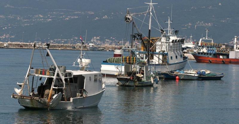 TEK JE POČETAK SRPNJA Europa je već sad iskoristila sve domaće resurse ribe, do kraja godine ovisi o uvozu