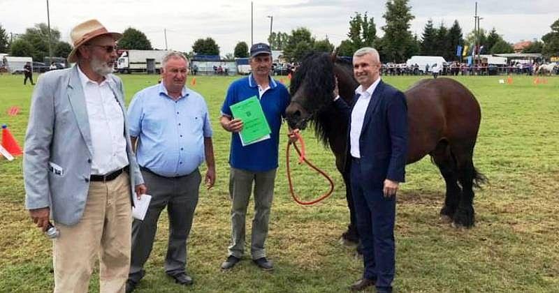 25. DRŽAVNU KONJOGOJSKU IZLOŽBU U SUNJI Otvorio je državni tajnik ministarstva poljoprivrede Tugomir Majdak