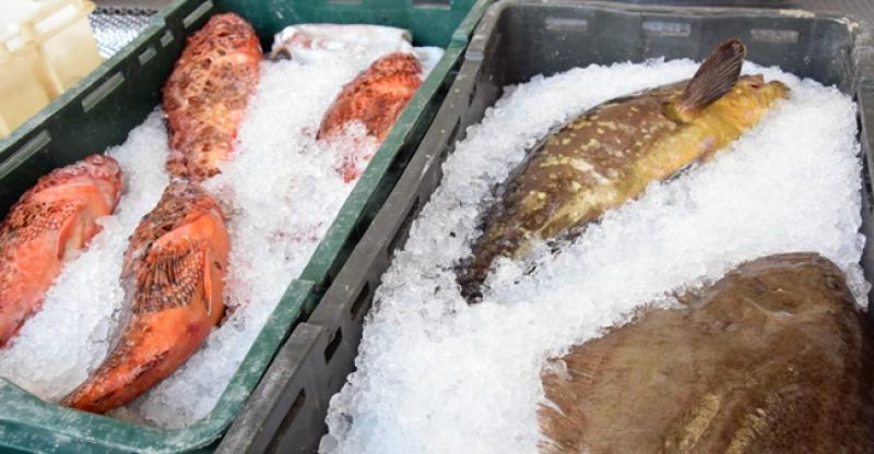 KONZUMIRAJTE RIBU TRI PUTA TJEDNO Tako ćete smanjiti rizik od razvoja raka crijeva