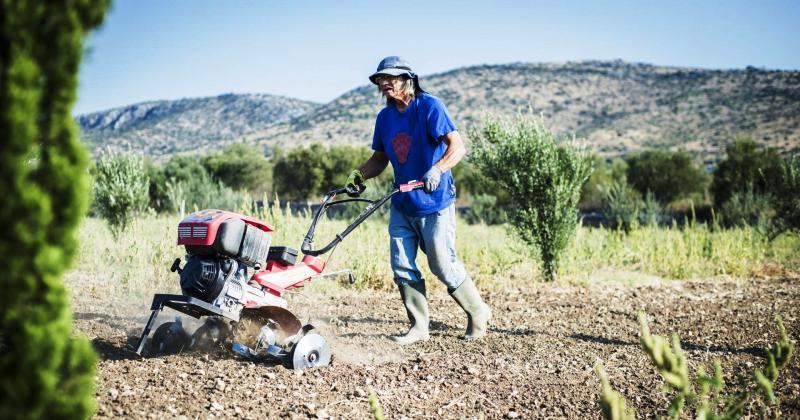 HAJDUKOVA LEGENDA NIKICA CUKROV Indijanac iz Šibenika o trijumfalnoj pobjedi nad karcinomom