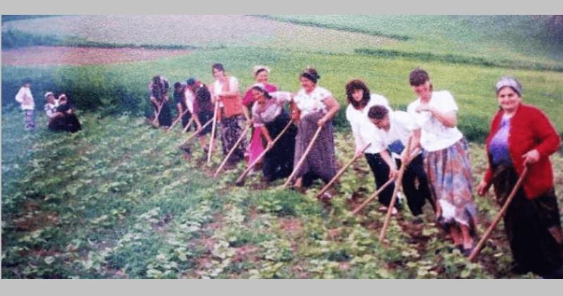 TKO SE JOŠ SJEĆA? Zorom se ranilo, mnogo radilo, ali uvijek je bilo veselo