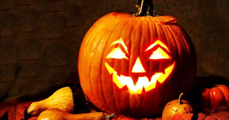 TKO JE OVO REKAO? Ponekad kad gledam što se sve događa u svijetu i koliko je toga 'naopako', najradije bih odustao od svega