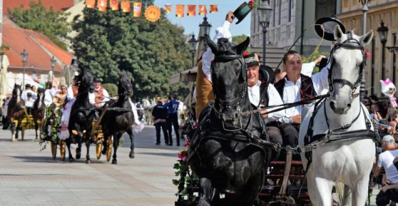 (VIDEO) 54. VINKOVAČKE JESENI Ulicama i trgovima prodefiliralo više od 4500 članova 69 folklornih skupina iz Hrvatske i dijaspore