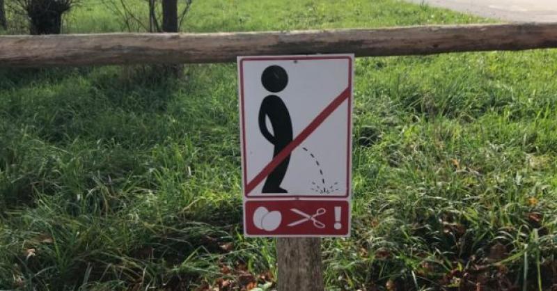 (FOTO) PIŠKI VAM SE? Oprez, ako izaberete krivo mjesto Slovenci režu jajca