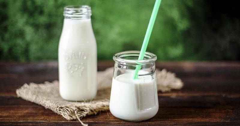 ZDRAVLJE Prehrana bogata vlaknima i jogurtom povezana s manjim rizikom od raka