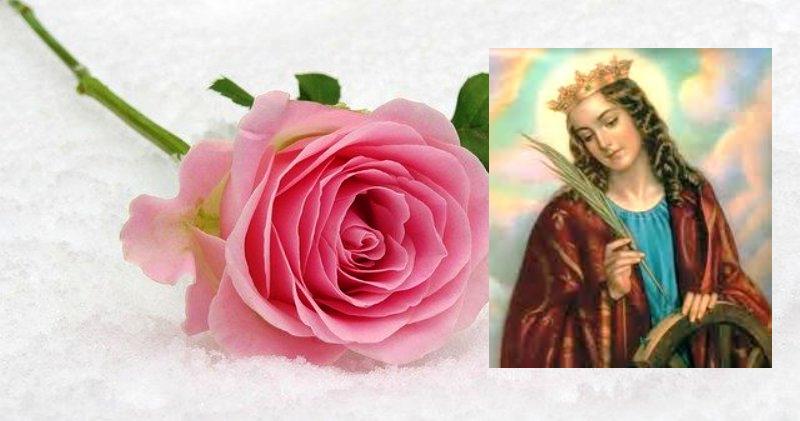 SVETA KATA, SNIJEG NA VRATA Čestitamo imendan svim Katarinama, Katicama, Katjama, Katama