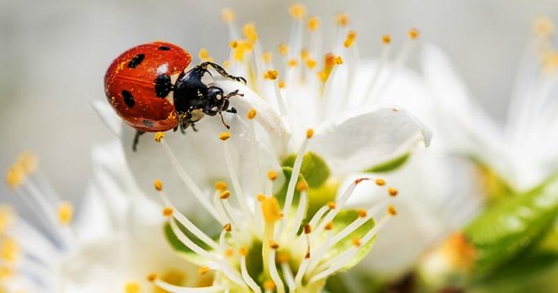 LJETNO RAČUNANJE VREMENA POČINJE U nedjelju, 29. ožujka u 2 sata ujutro. Znate li kako će Hrvatska elektroprivreda obračunavati utrošenu energiju?