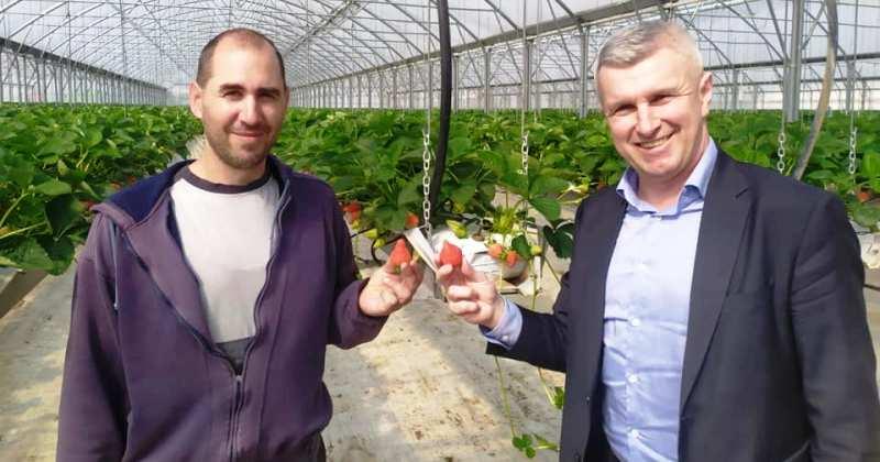 GLOBALNA KRIZA STVARA PROBLEME HRVATSKOJ POLJOPRIVREDI Državni tajnik Tugomir Majdak: 'Falit će nam mesa i povrća'