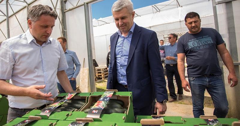 U VIROVITICI POČELA SEZONA BRANJA KRASTAVACA ZA DOMAĆE TRŽIŠTE - Tugomir Majdak: 'Ministarstvo poljoprivrede i dalje će poticati ovakve i slične primjere'