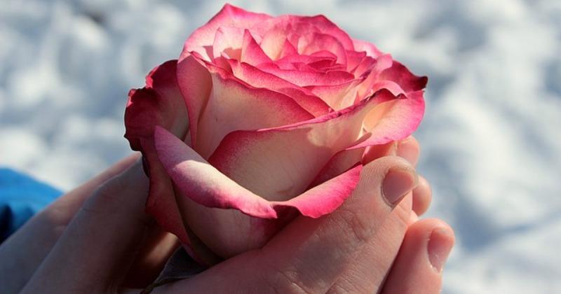 SRETAN TI MAJČIN DAN, MAMA Shvatit ćeš da sebe je dala i da te još u svom srcu krije, zagrli je i reci joj hvala, dok iz zagrljaja izčezla ti nije!