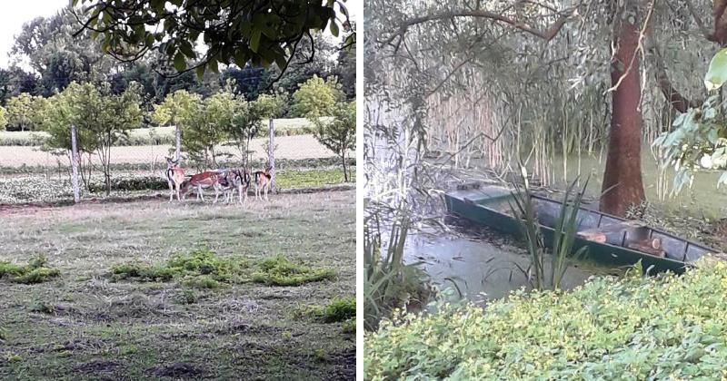 NA KRIŽNICI, POKRAJ PITOMAČE ŽIVI SAMO 20-tak STANOVINKA Do ovog djelića raja u Hrvatskoj možete jedino pješice preko mosta ili skelom