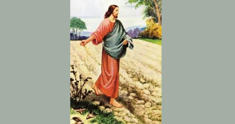 EVANĐELJE NEDJELJOM Iziđe sijač sijati