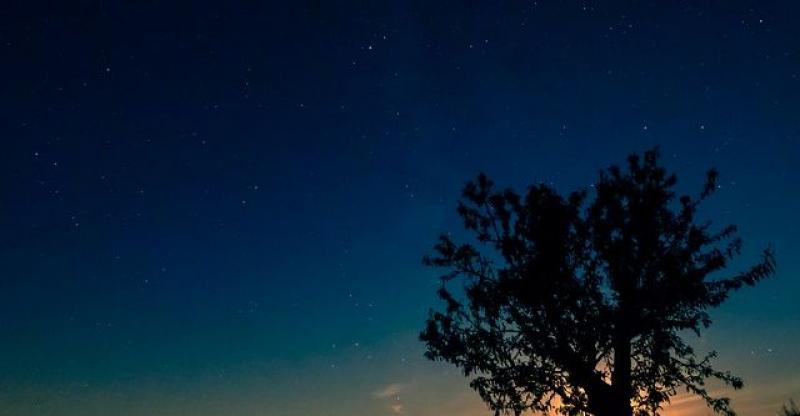 USKORO NAJBOLJI NEBESKI VATROMET U GODINI Saznajte detalje