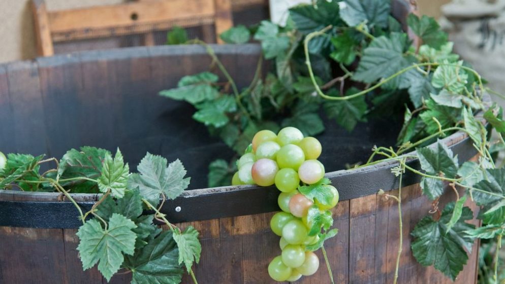 Podignite otpornost na prehlade