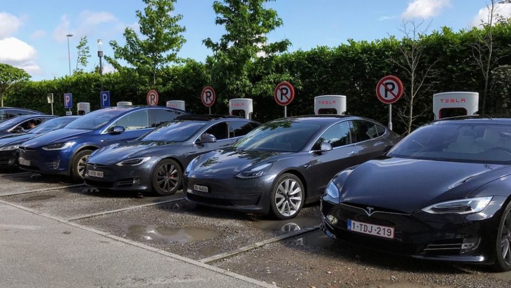 Tesla mora zbog zmija i guštera prekinuti gradnju tvornice električnih automobila u Njemačkoj!