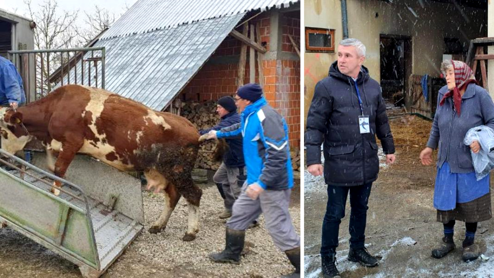 DRŽAVNI TAJNIK TUGOMIR MAJDAK: ‘Zbrinuli smo oko 240 životinja i utvrdili štetu na više od 1000 gospodarskih objekata’