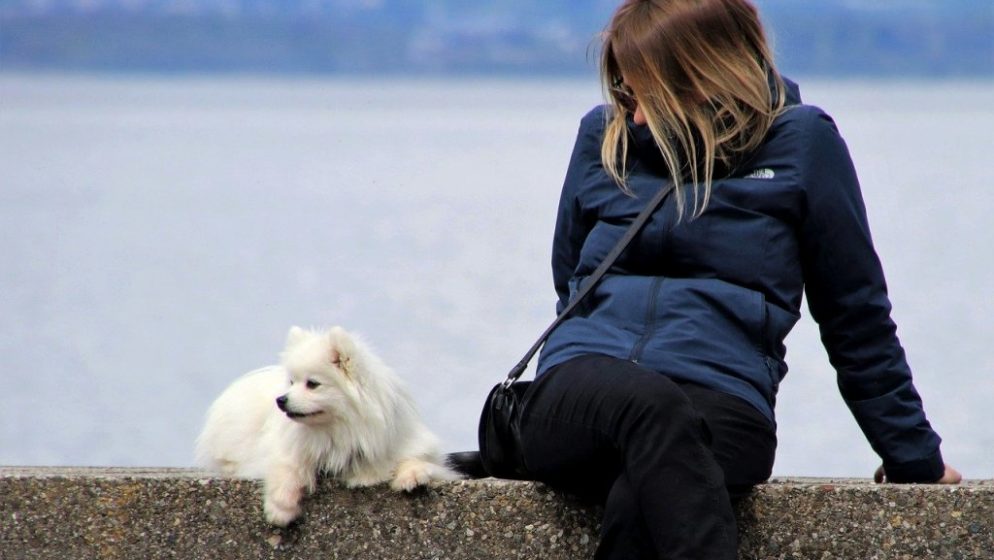 Quebec: Umjesto psa Kanađanka na uzici u vrijeme policijskog sata šetala partnera