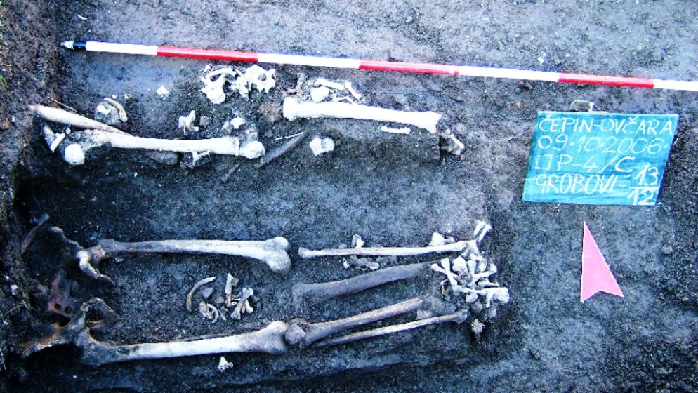 Prije 6200 godina u današnjoj Hrvatskoj nasumično pobijeno 40 ljudi