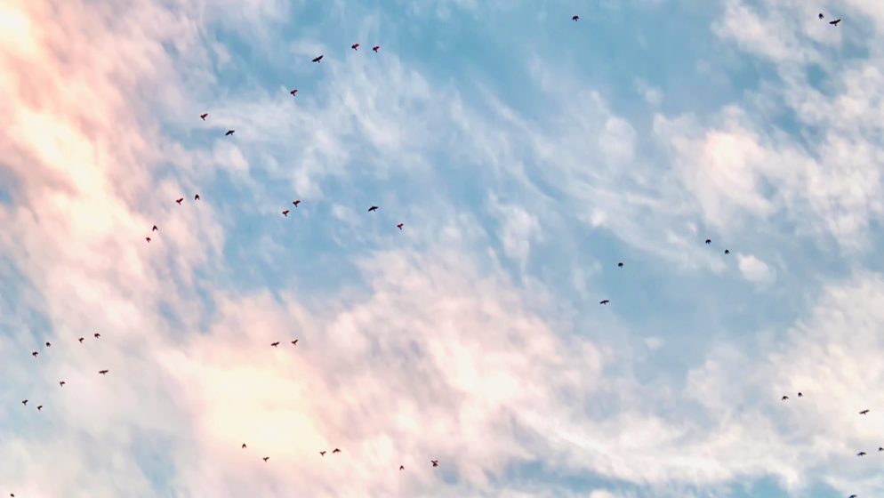 Pjesma našeg čitatelja s kojom ćete se zasigurno moći poistovjetiti