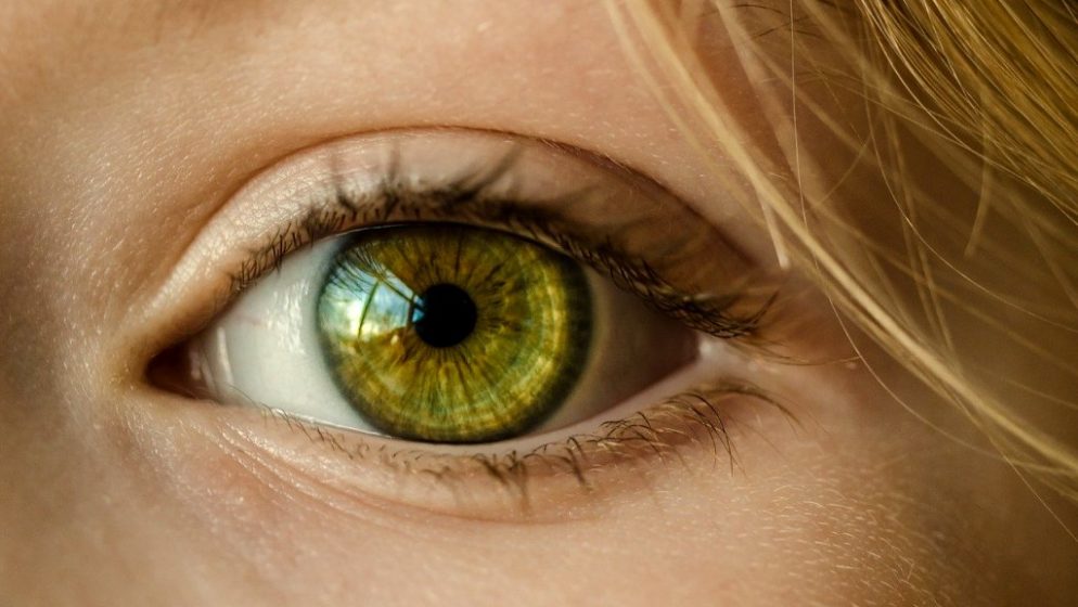 Njemačka tvrtka skeniranjem oka mobitelom identificira nositelja koronavirusa