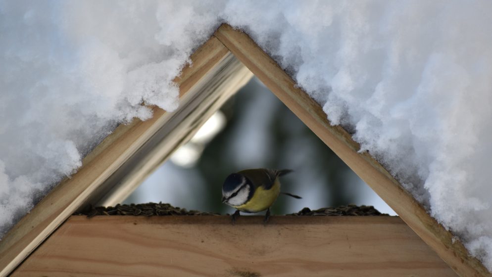 Pogoršanje vremena stiglo u Hrvatsku: Nigdje bez zimske opreme!