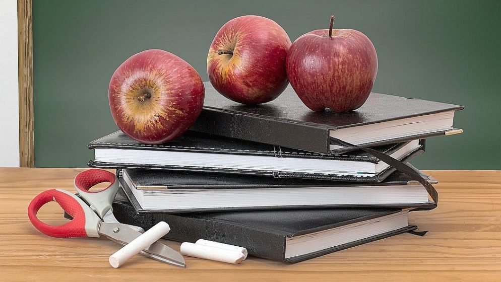 U Poljskoj proglašena nastavnicom godine, u Hrvatskoj ju neće zaposliti