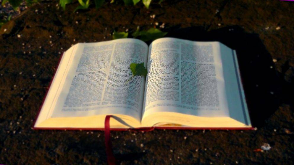Online Škola molitve! Prijavi se i nauči razmatrati Božju riječ