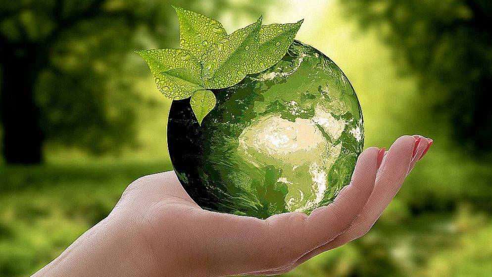 ‘Ugljen i drveće’: Lideri svijeta stižu na samit o spasu planeta